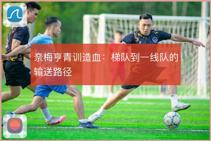 奈梅亨青训造血：梯队到一线队的输送路径